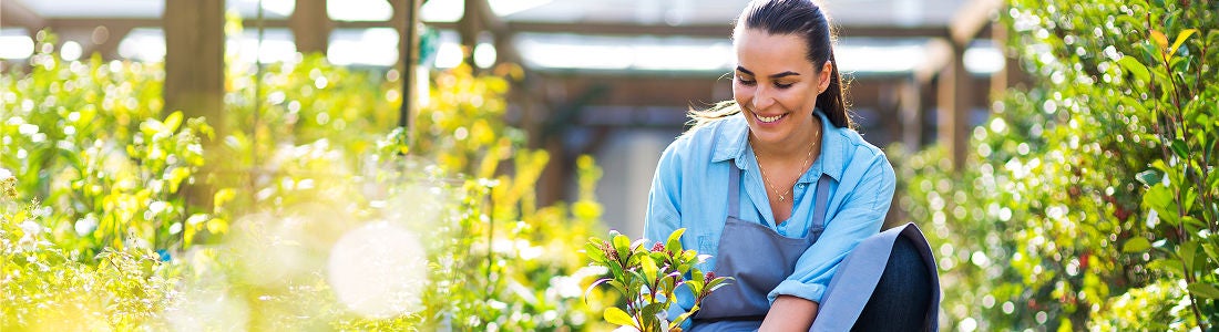 A woman wearing a blue shirt and apron is seen tending to plants in an outdoor garden center. She is surrounded by lush greenery and sunlight, suggesting a bright and natural setting. The scene conveys a peaceful and productive mood, with the focus on gardening activity. No visible text or numbers are present in the image.