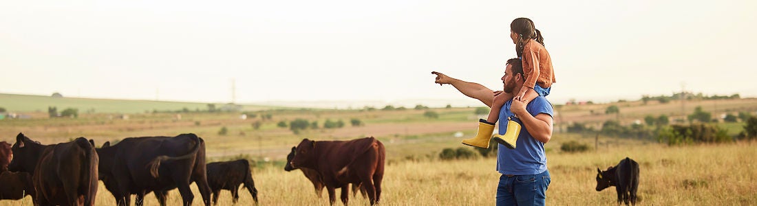 A man carries a young girl on his shoulders while pointing towards a herd of cows grazing in an open field. The setting is rural, with expansive grassland and distant hills under a clear sky. The girl wears yellow boots, adding a pop of color to the natural palette. The mood is warm and familial, emphasizing connection and exploration in nature.