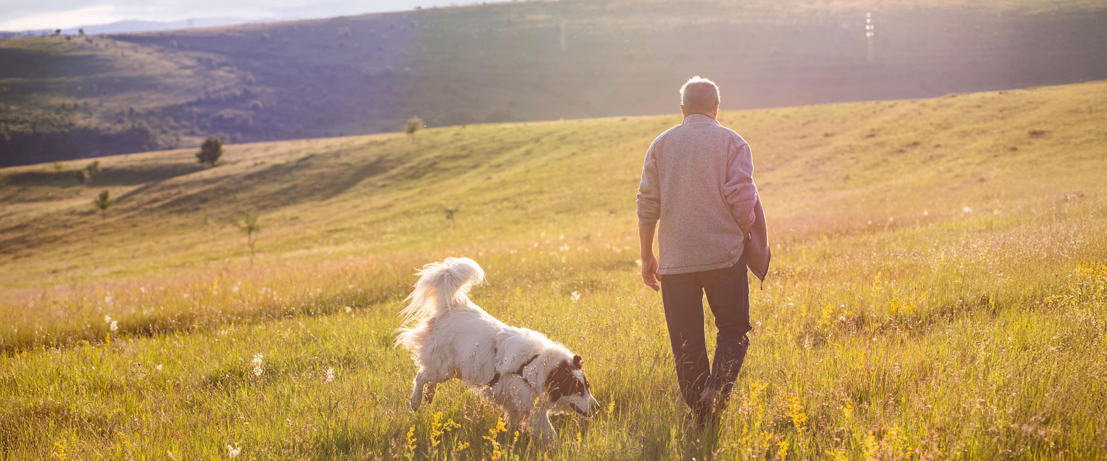 Man walking dog through sunny meadow